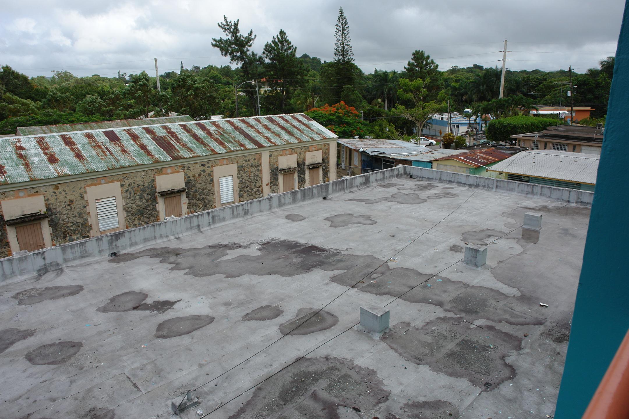 FDI - Aibonito - 2010 00091